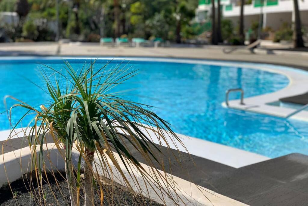 Apartamento Bastian Casas Verdes Costa Teguise Ngoại thất bức ảnh